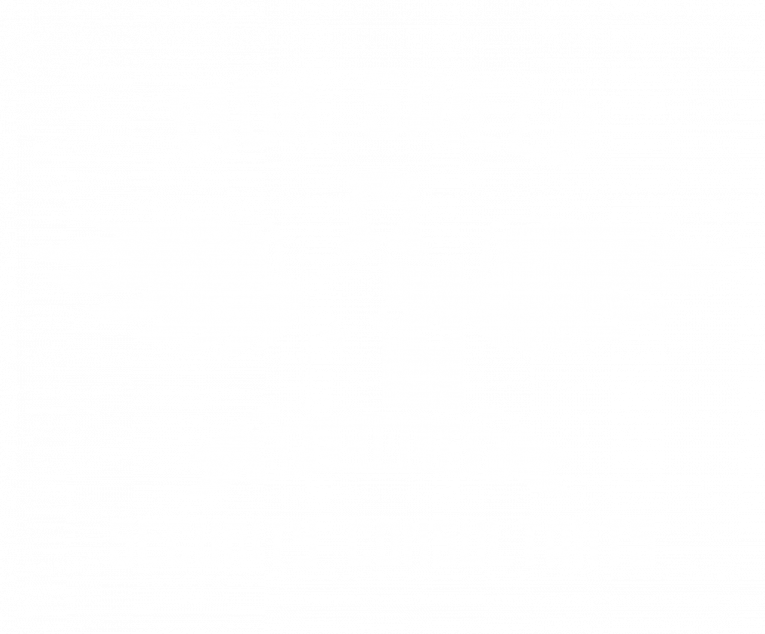 Iron Shield Security Consultants
